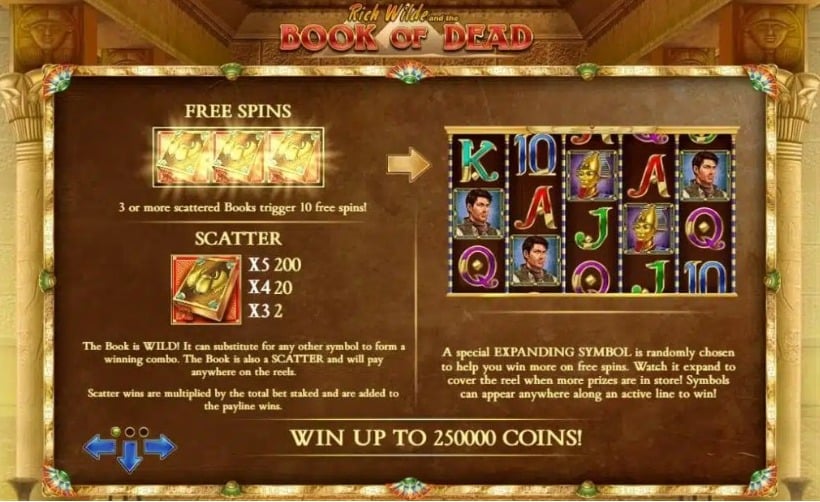 Book of Dead gameplay screenshot