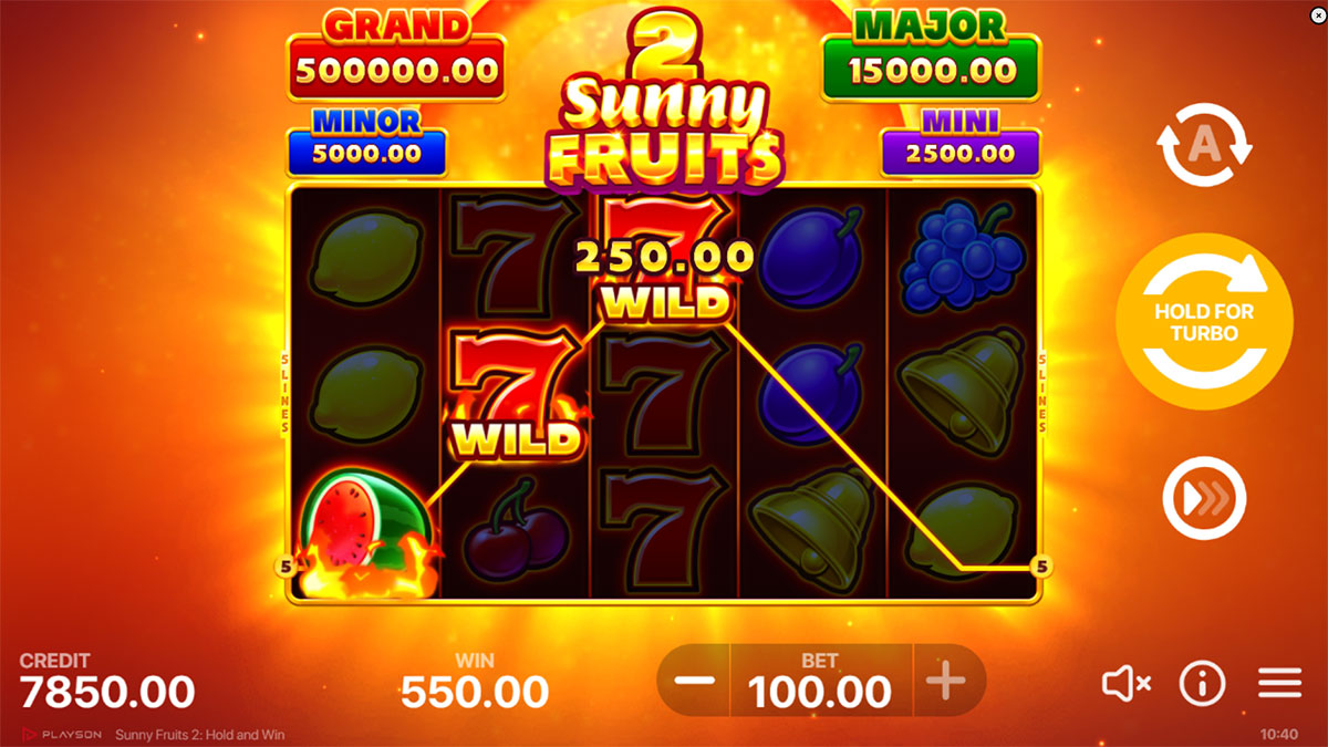 Sunny Fruits 2: Hold and Win gameplay screenshot